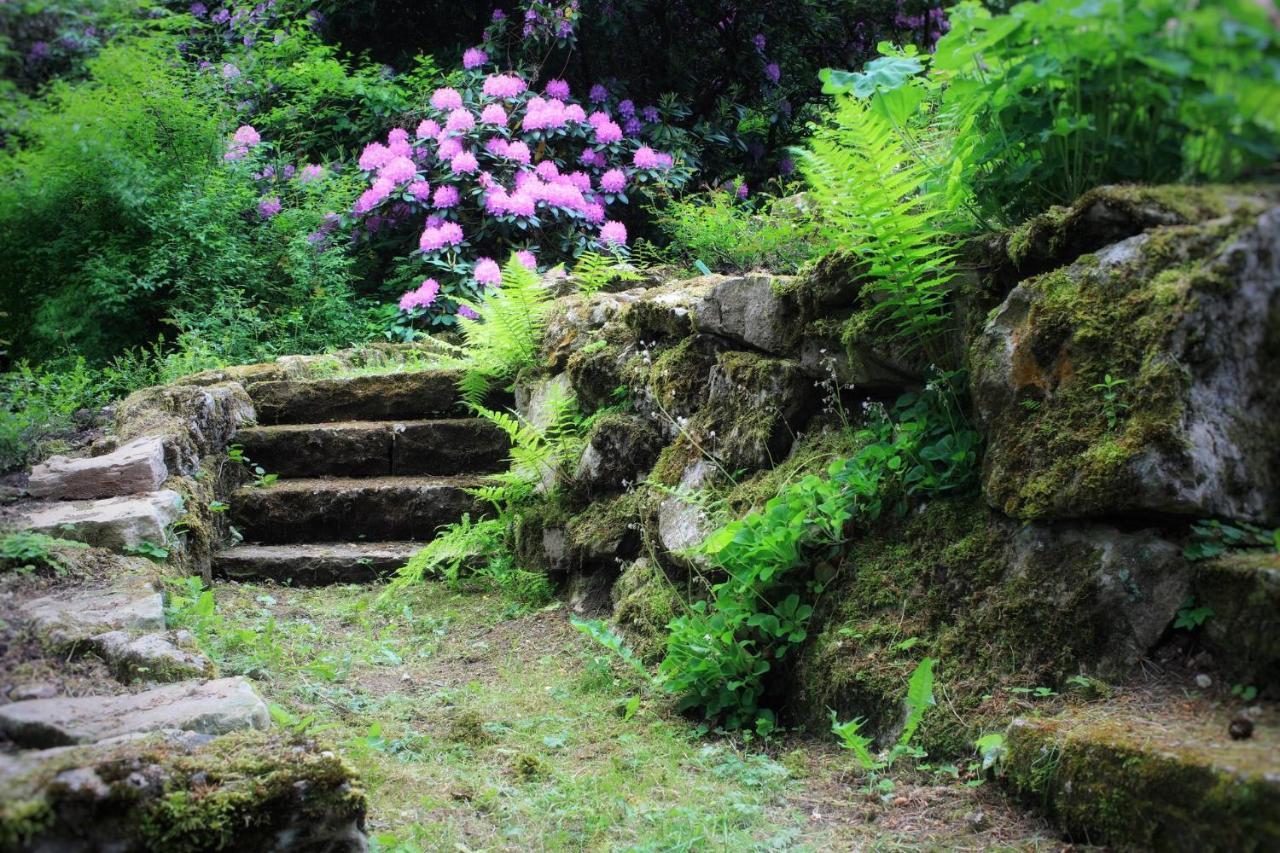 Villa Brodthage, App. 3 Walkenried المظهر الخارجي الصورة